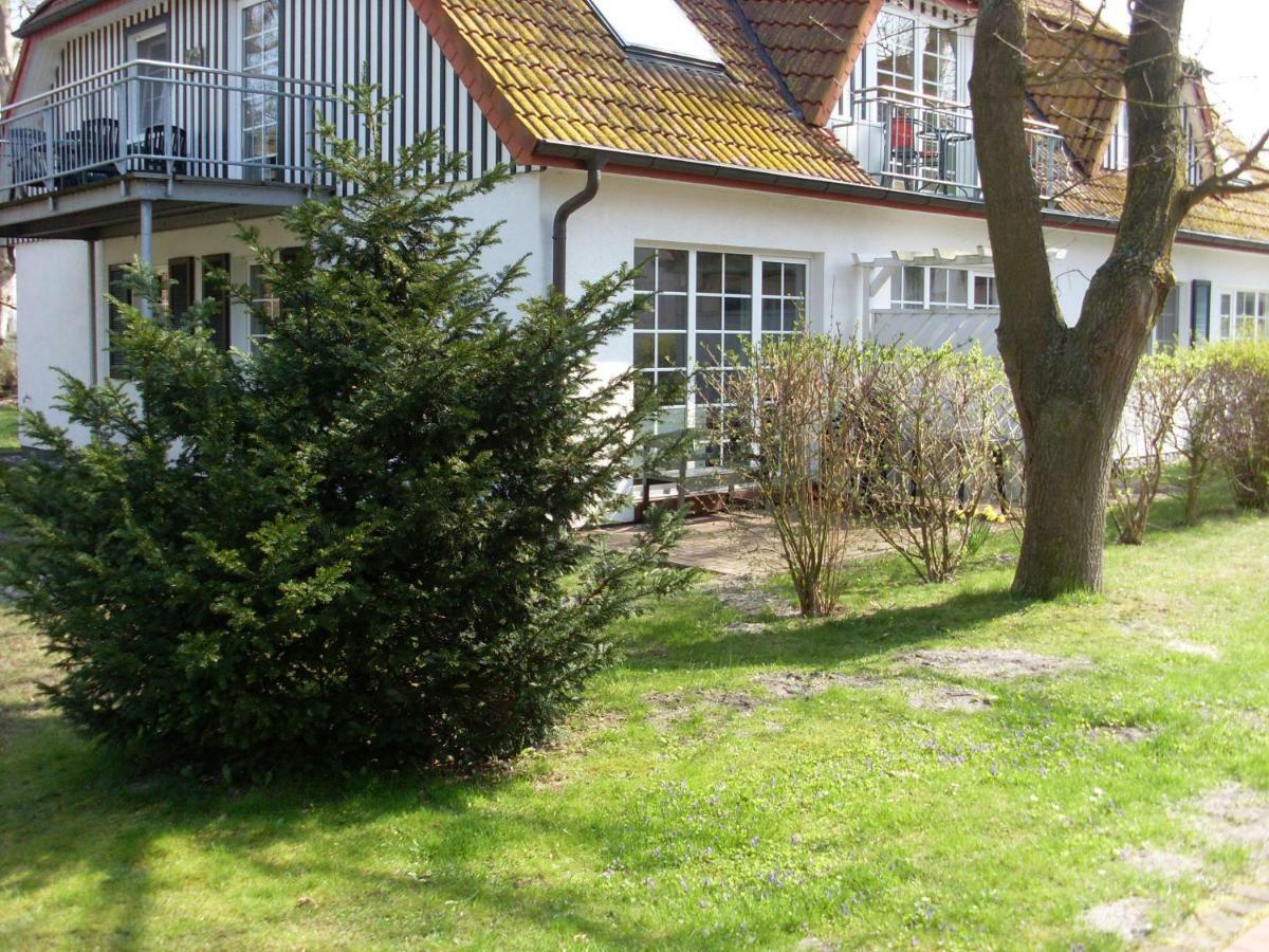 Ferienwohnung Muehlenstr. 普雷罗 外观 照片